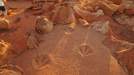 Dinosaur fossil footprints at Cable Beach near Broome, Western Australia.