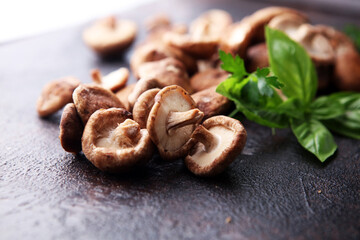 Raw wild shiitake mushrooms. Composition with wild mushrooms