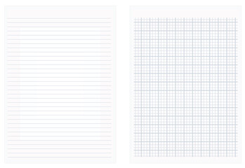 Lines and squares sheet paper. vector