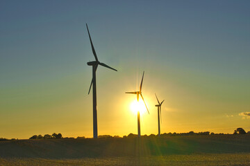 wind turbines at sunset