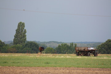 Landschaftsaufnahme mit Anhänger und Pferd auf der Weide in Lippetal Büninghausen