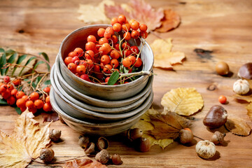 Autumn fall seasonal composition with stack of ceramic bowls, yellow maple leaves, rowan berries, chestnuts and decorative pumpkins over wooden texture background.