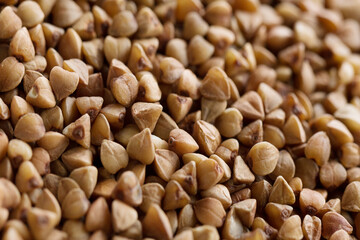 Buckwheat groats close-up, macro.