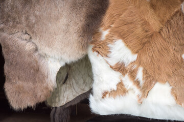 The crafted hide of various animals hangs and dries.