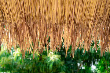 Vetiver roof with the beautiful tree background with copy space