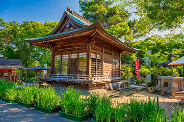 Fototapeta premium 宮地嶽神社の夏【福岡県福津市】