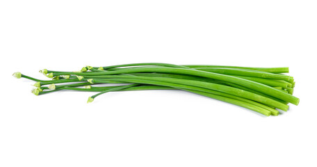 onion flower isolated on white.