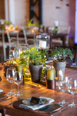 Green flowers set up on a wooden table for an event.