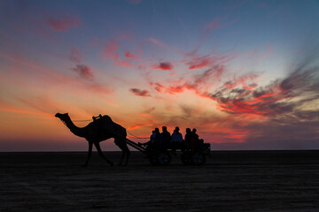 White Rann of Kutch, District Kutch, Gujarat, India.