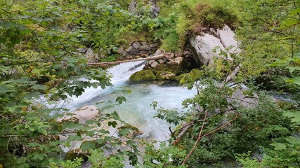 Wald Fluss Stein Gebirgsbach Steine Wildbach