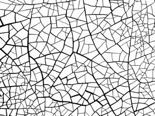 The cracks texture white and black. Vector background.  Structure of cracking. Cracks in dry surface soil texture. shards
