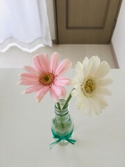 引越しのお祝い