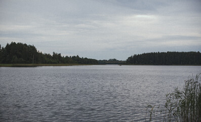 lake and forest