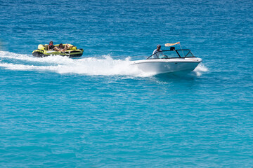 Fototapeta premium flyfish in the bay of angels in Nice