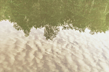 Reflection of trees and sky with clouds in lake water at sunset
