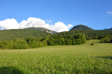 Obraz premium Green Meadow surrounded by Mountains in The Pyrenees Spanish Mountains