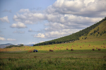 Fototapeta na wymiar Rural autumn landscape. A tractor on a green field collects hay into bales. In the background there are beautiful mountains, a blue sky with white clouds. Harvesting, agriculture.
