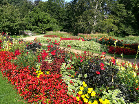 Botanischer Garten in G&uuml;tersloh im August, buntes Blumenbeet mit Dahlien, Begonien, Tagetes, Pelargonien, Buntnesseln und L&ouml;wenm&auml;ulchen