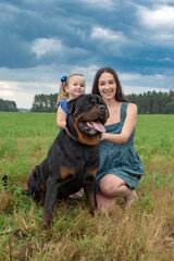 Fototapeta premium A young girl with her five-year-old daughter is playing with a rottweiler on a summer field.