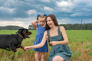 Fototapeta premium A young girl with her five-year-old daughter is playing with a rottweiler on a summer field.