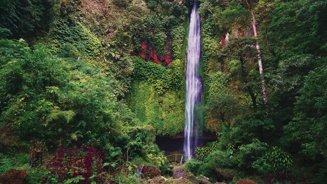 Beautiful Waterfall hidden in tropical rainforest jungle on nature background. 4K