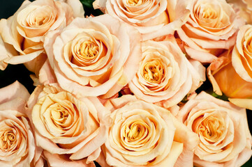 Bouquet of fresh orange coral roses, flower bright background. Closeup. Roses in flower shop.