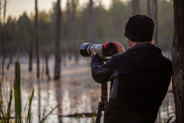 professional photographer shooting wild in early morning at summer swamp area with telephoto lens...