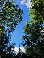 Obraz premium Bellezas naturales ,landscape 