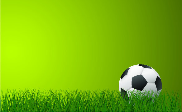 Soccer field, football field. Play, team sport, Green grass sky background. Flat vector playing field banner signs. Soccer ball in goal