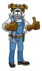 A bulldog electrician, handyman or mechanic holding a screwdriver