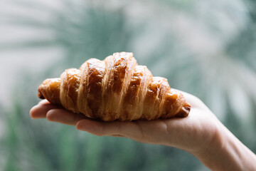 Close up of Croissant that hold in hand