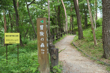 浜北森林公園内の冒険の森