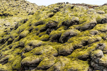 Rock mound shapes in Iceland yellow green moss covered stones in southern ring road showing pattern and texture