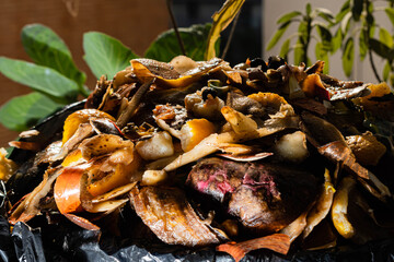 primer plano de basura orgánica para compost
