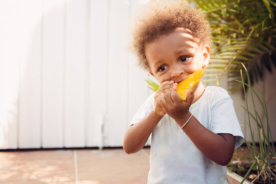 Toddler With Curly Brown Hair Eating Ripe Mango