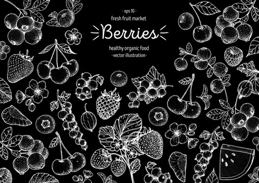 Berries drawing collection. Hand drawn berry sketch. Vector illustration. Food design template with berry. Blueberries, strawberries, cherries, currants, cranberries, gooseberries, raspberries
