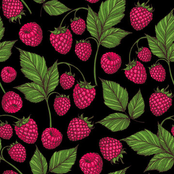 Seamless pattern with raspberries, raspberry leaves. Hand drawn background. Colorful raspberries illustration. Vector illustration.