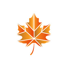 maple leave logo design vector