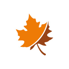 maple leave logo design vector