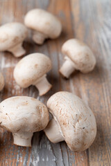 Heap of mushrooms on light wooden table, close up photo for a market catalogue