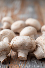 Heap of mushrooms on light wooden table, close up photo for a market catalogue