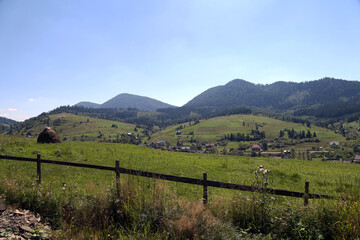 summer mountain landscape with grass and forest