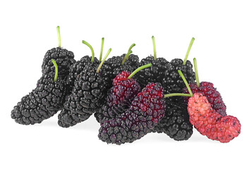 Mulberry fruit. Closeup of freshness mulberry fruits isolated on a white background.