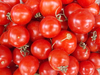 red tomatoes background