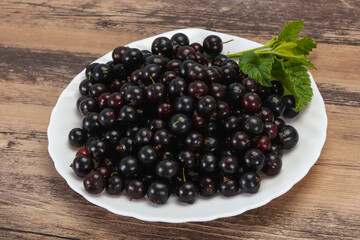 Fresh ripe sweet black currant