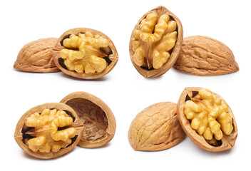 Collection of delicious walnuts, isolated on white background