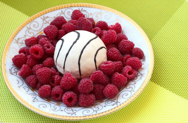 Raspberry with chocolate-covered cake on a plate on a green background.