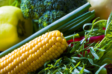 Raw organic vegetables close-up