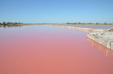 Salty pink lake - 375665219