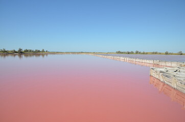 Salty pink lake - 375665244